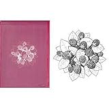 �Z���O���t�B �� �t�����{���[�Y