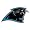 Carolina Panthers