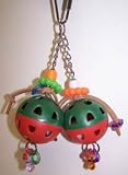 BT T909S Double Trouble 7.5in x 4.5in Small Bird Toy