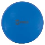 Champion Sports Fitpro Exercise Ball (95 cm)