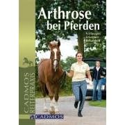 Arthrose bei Pferden