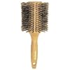 Buy Brushes & Combs - HAIRART Workhorse Series 4" Brush (Model: 75063) (Pack of 2)