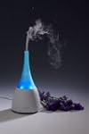 Bliss Aroma Diffuser AQUA Air Purifie...