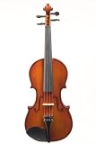 Klaus Mueller Allegro Violin - 1/2, Prelude Case, Brazilwood Bow