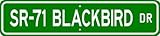 SR-71 SR71 BLACKBIRD Street Sign - High Quality Aluminum