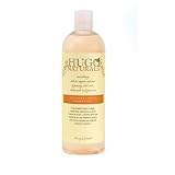 Hugo Naturals Shower Gel, Shea Butter & Vanilla , 16-Ounce Bottle (Pack of 2)