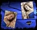 100 DIGITAL PHOTOGRAPHY BACKDROPS - COMPOSITE LAYERED PSD PHOTO BACKGROUNDS & TEMPLATES - USE WITH ADOBE PHOTOSHOP & COREL IMAGE EDITING SOFTWARE b