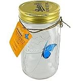 Butterfly in a Glass Jar - Blue Morpho