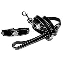 "Jeweled Paws" Rhinestone Semi-Glossy Fine Leather Dog Collar & Lead Set - Small