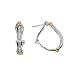 FOJO's Diamond in Sterling Silver Two Tone Hoop Earrings (1/3 ct. tw.)