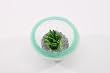 Seafoam Bowl Set