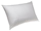 ProTech Fortrel Anti Dust Mite Pillow, Standard