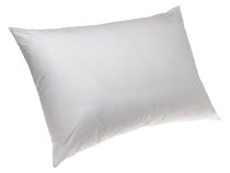 ProTech Fortrel Anti Dust Mite Pillow, Standard