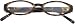 VisAcuity Mrs. Robinson Tortoise Reading Glasses