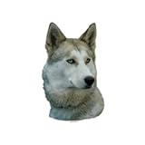 World Stickers Schwandt Heimtierbedarf 12056 Aufkleber 4 St&uuml;ck ca. 80 x 80 mm f&uuml;r Warnschild Siberischer Husky grau