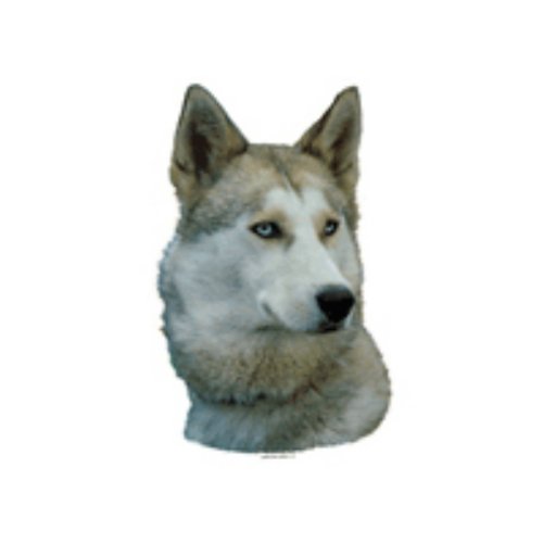 World Stickers Schwandt Heimtierbedarf 13056 Aufkleber 2 St&uuml;ck ca. 140 x 160 mm f&uuml;r Warnschild Siberischer Husky grau