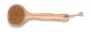 ACCESSORIES Cedar 10" Bath Brush  (Pack of 2)
