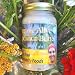 Living Tree Alive Coconut Butter