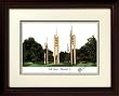 Howard Payne University Alumnus Alumnus 14x18 Mahogany Framed Collegiate Lithograph