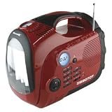 WeatherX RPS8807DT 200-Watt Portable Power System with Weatherband and AM/FM Radio