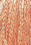 Eigenschaften Coats / Coats - Strickgarn Brazilia, 50g Knäuel, Lachs