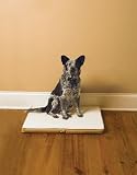 Medium PetSafe Stay! Mat The Wireless Crate