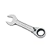 Blackhawk By Proto BW-2210R 12 Point Combination Stubby Reversible Ratcheting Wrench, 3/8-Inch