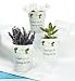 Weddingstar 8010 Mini Flower Pots