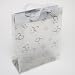 Two Hearts Frosted Gift Bag
