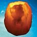 himalayan7 - Himalayan Natural Tealight Candle Holder Natural 12 Lbs