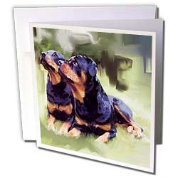 image link - - B002O1RT20