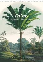 Palms - 2012 (Large Calendars)