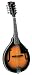 Rover RM-25S Student Series A Model Mandolin (Solid Spruce Top)