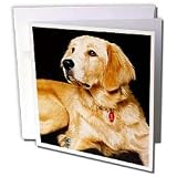 Dogs Golden Retriever - Golden Retriever - Greeting Cards-12 Greeting Cards with envelopes