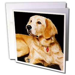 image link -  - B000VG3EEC