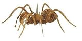 Animals & Insects