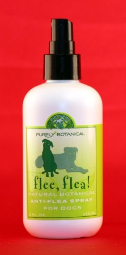 Dancing Paws Flee, Flea!! Natural Anti-Flea and Tick Repellant for Dogs -- 8 fl oz