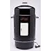 Brinkmann 810-7080-6 Gourmet Electric Smoker and Grill, Black