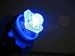194 168 T10 SUPER FLUX LED BLUE BULBS Dome light 12V (2 bulbs)