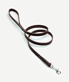 Coastal Pet Circle T Latigo Leather Dog Leash / Lead (4 ft. L x 1 inch W)