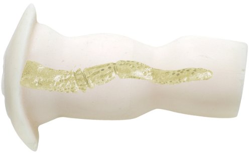 LOVE BODY aki 専用ホール Versus