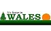 It's Better in Wales Toddler T-Shirt