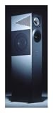 Xenon - 3 way floorstanding speaker in Silver