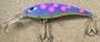 JLVLures JLV Lures Curved Minnow Freshwater Diver Purple Tree Frog : Walleye Sauger Pike Bass Steelhead Crankbait Deep Troll Tantalizing Curve Body Wobble Kicking Rattle Rattling Trolling Casting Cast Treble Bronze Hook Darting Structure Fishing Gravel Bottom Rock Stump