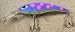 JLVLures JLV Lures Curved Minnow Freshwater Diver Purple Tree Frog : Walleye Sauger Pike Bass Steelhead Crankbait Deep Troll Tantalizing Curve Body Wobble Kicking Rattle Rattling Trolling Casting Cast Treble Bronze Hook Darting Structure Fishing Gravel Bottom Rock Stump