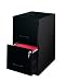 Home Office 2 Drawer Letter File Cabinet (Black) (24.5"H x 14 1/4"W x 18"D)