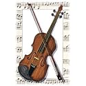 Violin Adult T-Shirt