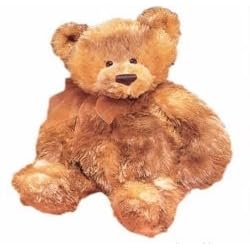 Click here to buy Bear Plush: Butterscotch 13 inch by Gund.