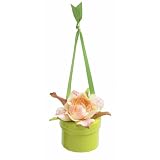 Bloembox Hanging Minis: Standard Miniature Rose in Gift Box