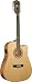 Washburn WD10 SeriesWD10SCE12 Acoustic Guitar